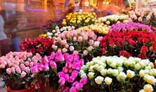 高铁可以带鲜花上去吗 高铁可以带鲜花上去吗多少钱