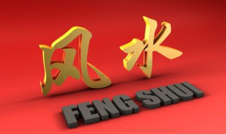 鹦哥鱼的风水学应用（鹦鹉鱼是风水鱼吗）