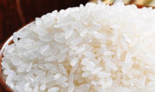 冲泡米饭的原理 冲泡米饭的原理和方法