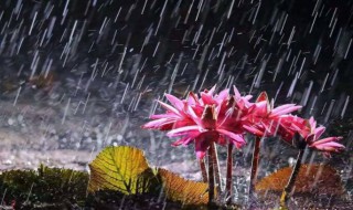 几月份是梅雨季节（几月份是梅雨季节?）