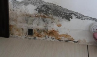 检测水管漏水的仪器 检测水管漏水的仪器原理