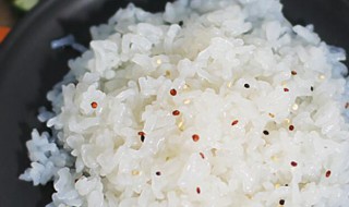 魔芋米可以长期代替米饭吗（魔芋米可以长期代替米饭吗视频）