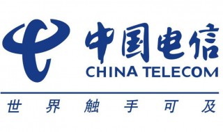电信携号入网怎么办理（电信携号入网怎么办理套餐）