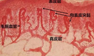 如何消除红血丝 如何消除红血丝的方法