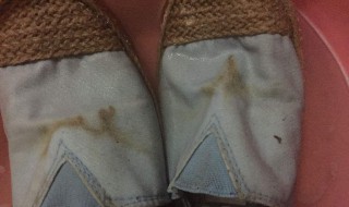 铁锈怎么洗 白衣服弄到铁锈怎么洗