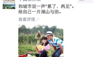 怎么看微信好友的朋友圈 电脑怎么看微信好友的朋友圈
