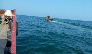 海洋捕鱼的方法 海洋捕鱼方式有哪些