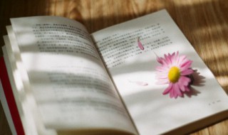 文艺有韵味的句子 文艺而有韵味的短句