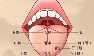 正确的刮舌苔方法（正确的刮舌苔方法图解）