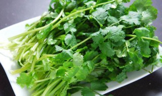 快速切香菜的方法（怎么切香菜又快又标准）