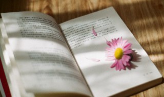 奋发向上励志句 奋发向上的词句