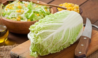 自己种白菜的方法（自己在家怎么种白菜）
