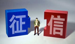 为什么征信报告没有信用记录（征信报告显示没有征信记录）
