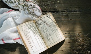 红楼梦好句（红楼梦好句100个摘抄）