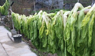 大量蔬菜要怎么保存 大量蔬菜要怎么保存好