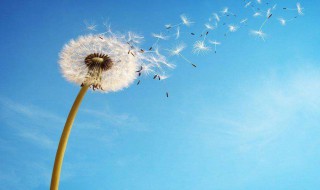教师节的句子感谢老师的 教师节的句子感谢老师的话