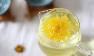 菊花泡水喝有什么好处（伏苓和菊花泡水喝有什么好处）