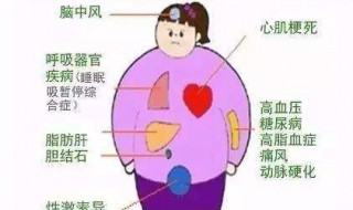 减肥不掉秤的十大原因（少吃加运动不掉秤的十大原因）