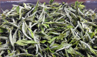 保存生茶的方法 生茶储存方法
