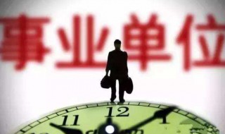 工作单位怎么填（工作单位怎么填写才正确）