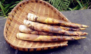 冬笋怎么找准位置 冬笋怎么找准位置图片 冬笋怎么找准位置 冬笋怎么找准位置图片