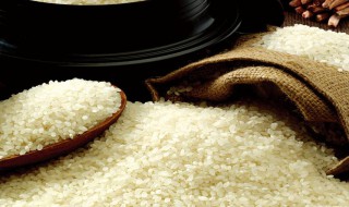 米里生虫子怎么处理 米里生虫子米还能吃吗 米里生虫子怎么处理 米里生虫子米还能吃吗