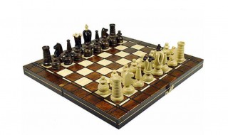 国际象棋怎么玩新手入门 象棋怎么下新手教程 国际象棋怎么玩新手入门 象棋怎么下新手教程