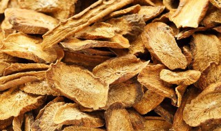 牛蒡茶怎么喝减肥最快(牛蒡茶的功效与作用) 牛蒡茶怎么喝减肥最快(牛蒡茶的功效与作用)