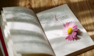 生活的说说 正能量的经典句子 生活的说说 正能量的经典句子