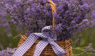 七月半烧纸封包怎么写(七月半烧纸封包怎么写爷爷) 七月半烧纸封包怎么写(七月半烧纸封包怎么写爷爷)