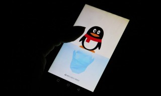 怎么看qq好友加了多久(怎么看qq好友加多久了) 怎么看qq好友加了多久(怎么看qq好友加多久了)