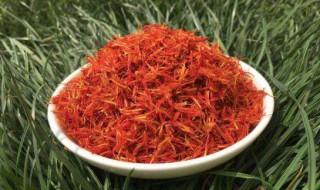 红花和藏红花的区别 抗肿瘤最强的中草药 红花和藏红花的区别 抗肿瘤最强的中草药