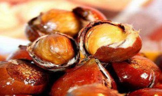 油栗和板栗的区别(板栗和油栗的区别图片) 油栗和板栗的区别(板栗和油栗的区别图片)