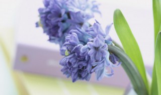 充满正能量阳光的说说 充满正能量阳光的说说 励志简短