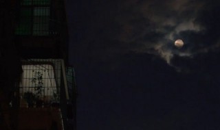 想念一个人的暖心说说（高情商的女人表达想念）