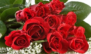 教师节礼物送什么最好 教师节礼物送什么最好简单