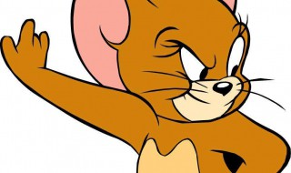 老鼠怕什么气味的东西 老鼠怕什么气味的东西呢