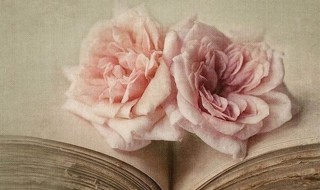 哪有什么岁月静好的完整诗句是 哪有什么岁月静好,只是有人负重前行