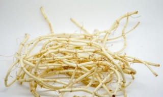 鱼腥草泡水喝有什么功效（鱼腥草的功效与作用和主治）