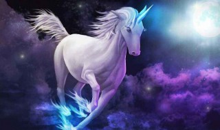 独角兽是什么意思 独角兽企业什么意思