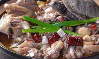 清肺吃什么好（清肺养肺最好的药）