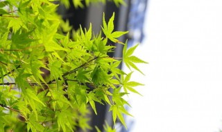翻开以前照片心情短语 发旧照片配什么文案