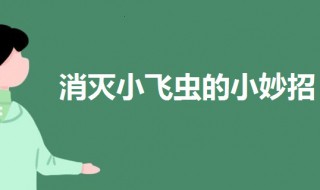 家里有小飞虫怎么消灭 家里小飞虫怎么消灭最简单的方法