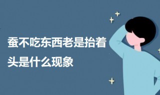 蚕不吃东西老是抬着头是什么现象（为什么蚕抬头不吃东西）