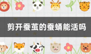 剪开蚕茧的蚕蛹能活吗（剪开蚕茧的蚕蛹能活吗视频）