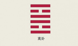 离卦代表什么 离卦代表什么行业
