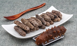 怎么泡干海参（海参干海参怎么泡）