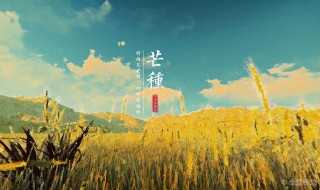 有关芒种的谚语和诗句（关于芒种谚语）
