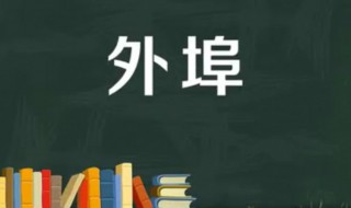 外埠是外省吗（外埠是外省的意思吗）