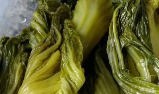黄菜和碱蓬的区别 黄菜与碱蓬的区别